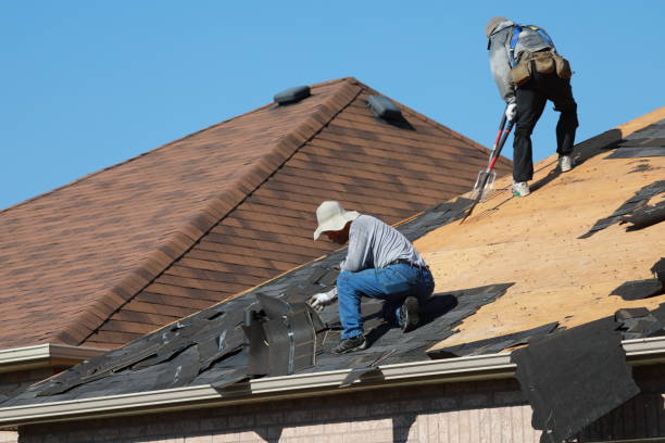 Best Storm Damage Roof Repair  in Brunswick, GA