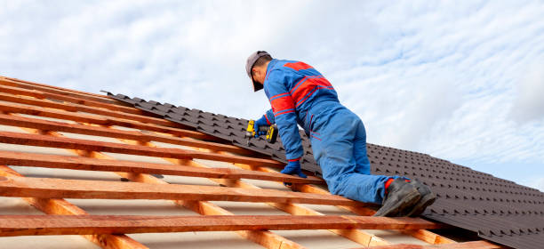 Best Roof Insulation Installation  in Brunswick, GA