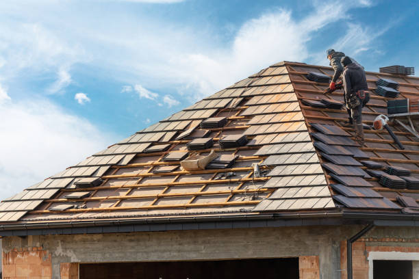 Best Roof Inspection  in Brunswick, GA